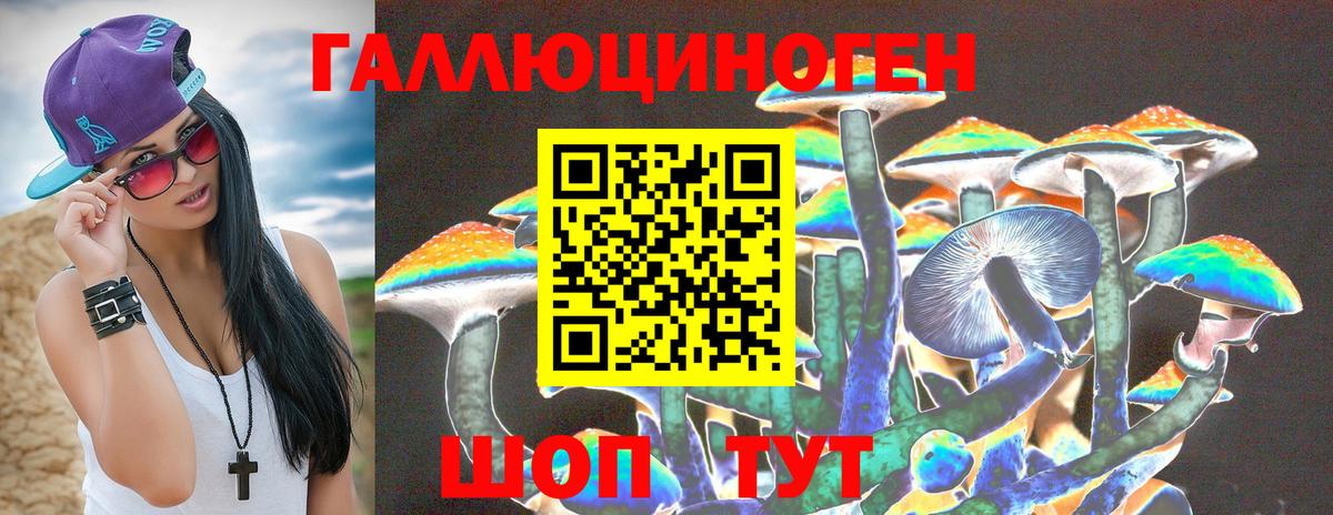 Тимашёвск  Псилоцибиновые грибы Psilocybe  Вход с VPN 