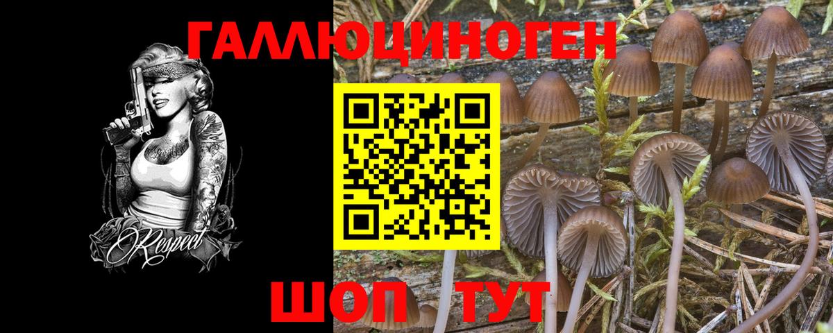 Галлюциногенные грибы MAGIC MUSHROOMS Тимашёвск